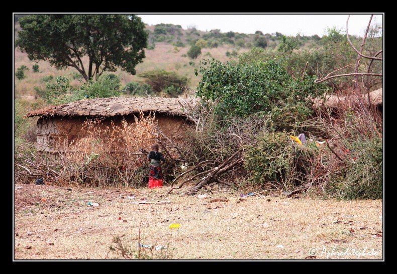 Dans le paysage les cases du village se confondent avec la nature